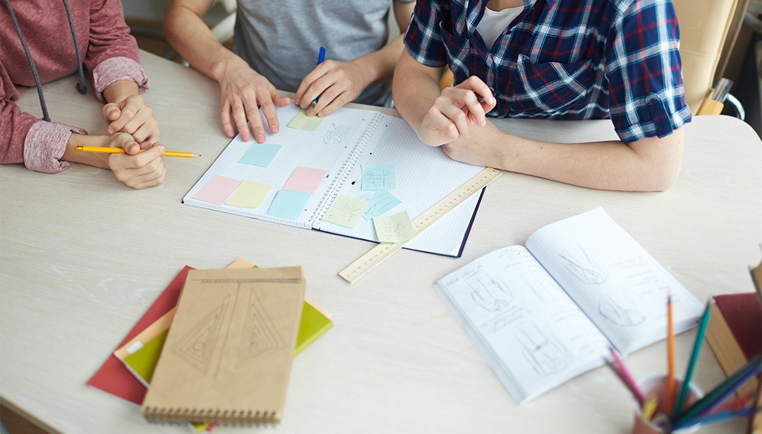 Integrated Programme Schools